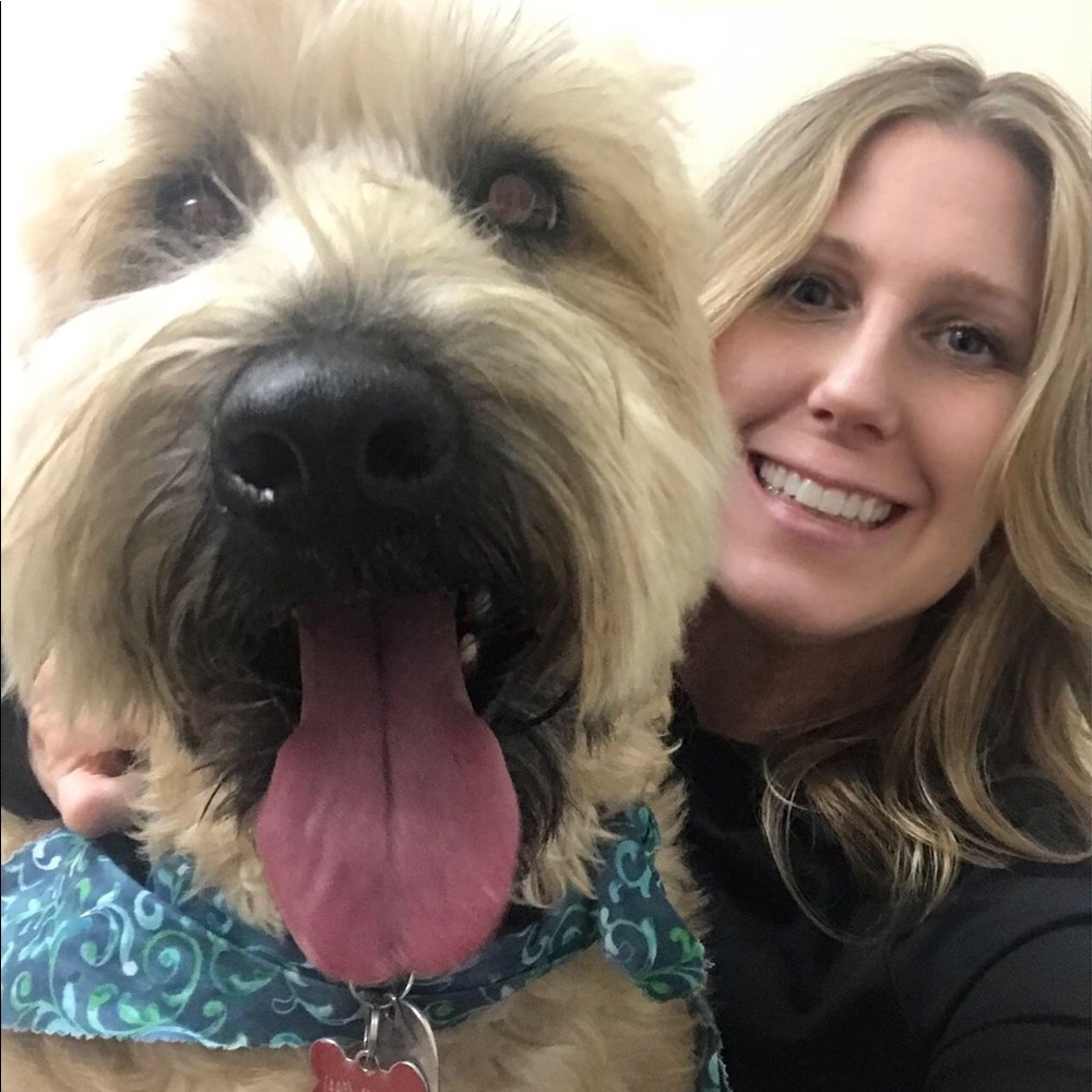 Posh Ambassador - Quick Shipping - Daily Listings